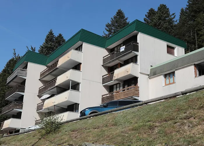 Le Carbet Des Oursons - Appt A Bresse Vue Montagne Apartmán *